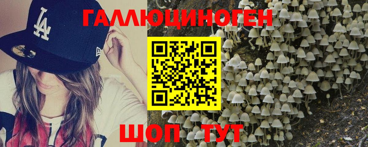 Псилоцибиновые грибы Cubensis Вязьма